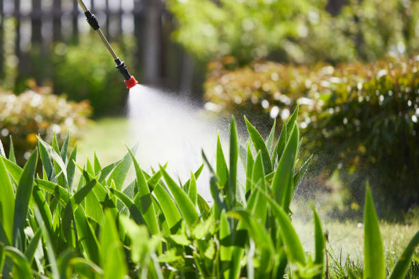 Tamper-Resistant Bait Stations for Rodents in Colon