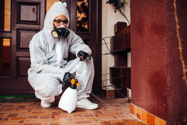 Attic and Crawl Space Rodent Treatment in Colon